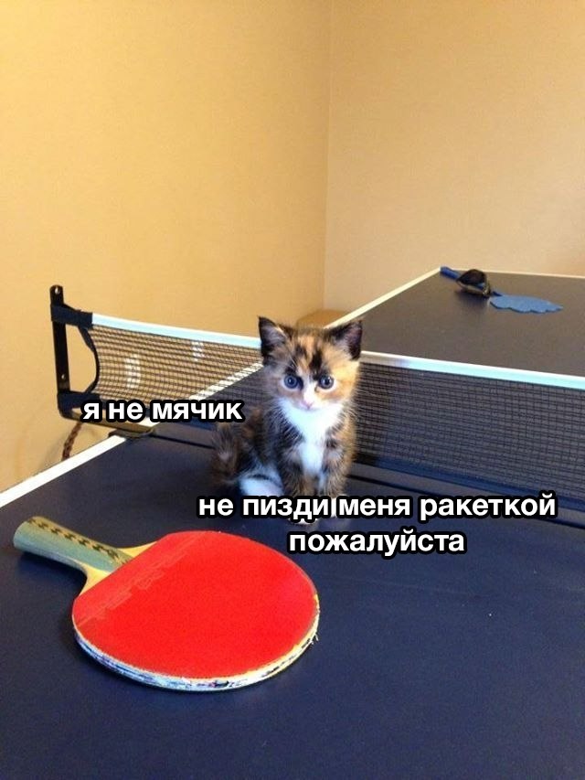 �������� ���� ������� � ����������� ��������� ��� �������, ������ ��� 19 ������ ������������� ... - 2