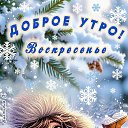 ���� ������, ������, 61 ��� - ��������� 15 ������� 2026 � ������ ������ ��������
