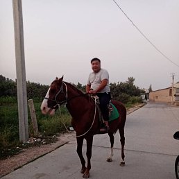, 33, 