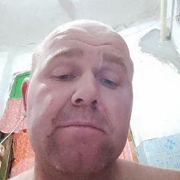 ��������� �������, �������, 36 ���