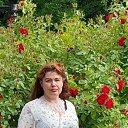 ���� ������ (����), �����������, 48 ��� - ��������� 25 ���� 2025 � ������ ���� ����������