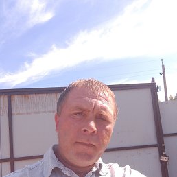 , 33, 