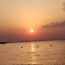 ���� ����, ������, 46 ��� - ��������� 13 ������� 2024 � ������ ���� ����������