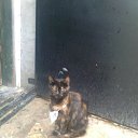 ���� ������, ������, 54 ���� - ��������� 11 ����� 2026 � ������ ���� ����������