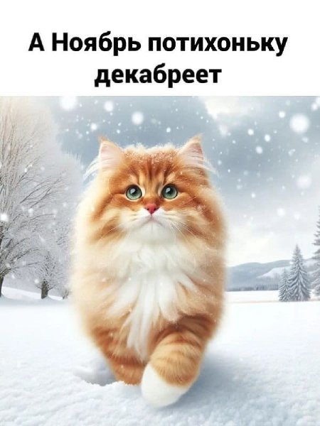  - 29  2023  18:42