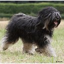 ���� ������, �����-��������� - ��������� 28 ������ 2025 � ������ ���� ����������