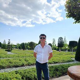 ����, 55 ���, ���������