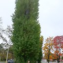 ���� ��������, ������, 56 ��� - ��������� 4 ����� 2025 � ������ ���� ����������