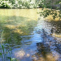 Ayaz, �����, 48 ���