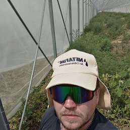 �������, 38 ���, �����