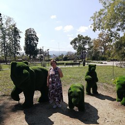 ���� �������, ����, 68 ��� - ��������� 15 ������� 2024