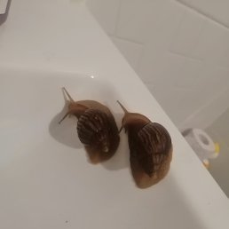 ���� ����, �����-���������, 50 ��� - ��������� 4 ��� 2026