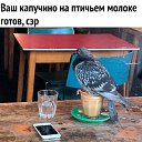 ���� �����, ������� �������� - ��������� 14 ������ 2025 � ������ �������