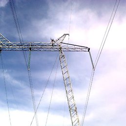 ���������, ������������, 44 ����