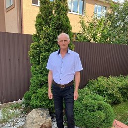 , 65, 