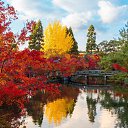 ���� �����, ����� - ��������� 26 ������ 2023 � ������ ������ ��������