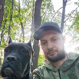 , 41, -