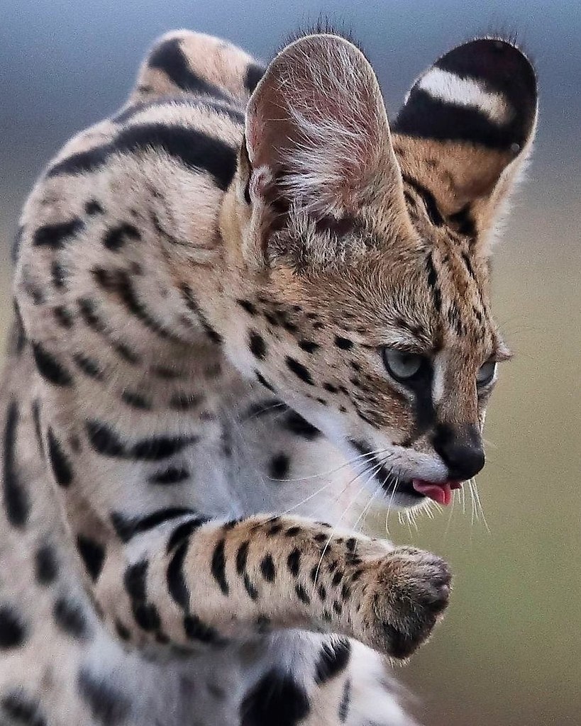 ,  .  -         . ... - 3