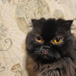 Nick, ������, 18 ���