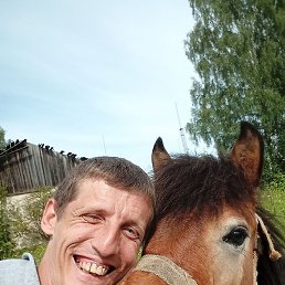 ����, �������, 40 ���