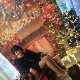 ���� �������� ����, ������, 38 ��� - ��������� 7 ������ 2026