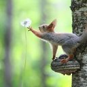 ���� �������, ������� - ��������� 13 ��� 2024 � ������ ��������