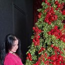 ���� ����, �����, 40 ��� - ��������� 12 ������ 2026 � ������ ���� ����������