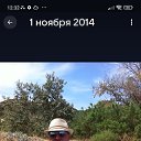 ���� ������, �����-���������, 42 ���� - ��������� 23 ������� 2025