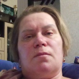 ����, �����-���������, 53 ����