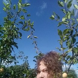 �����, �����, 63 ����