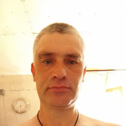 ���� ����, �����������, 46 ��� - ��������� 2 ���� 2024