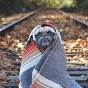 ���� ��������, ���������, 35 ��� - ��������� 28 ����� 2024 � ������ ���� ����������