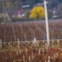 ����������, ������������, 43 ����