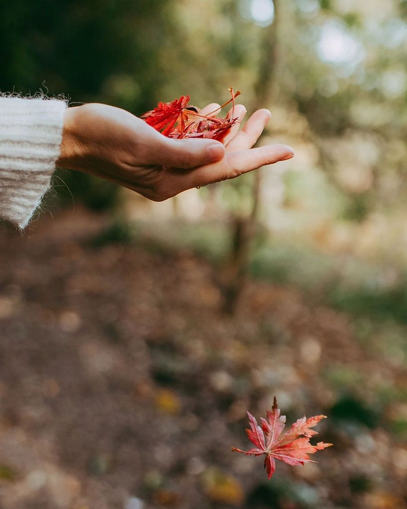 Человек всё делает наоборот. Спешит стать взрослым, а потом вздыхает о прошедшем детстве. Тратит ...