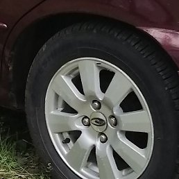 �������, �������, 50 ���