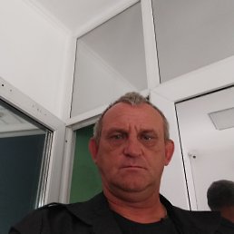 , 52, 