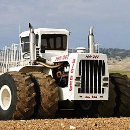 ����� ���������, ��������, 42 ����