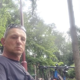 , 45, 