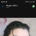 ���� ���������, ����, 43 ���� - ��������� 29 ������� 2023 � ������ ���� ����������