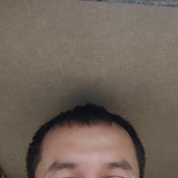 , 41, 