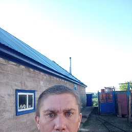 , 41, 