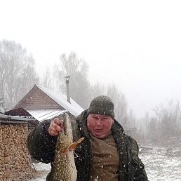 ������ �����, ������, 36 ���