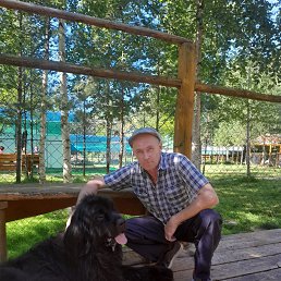 , 52, -