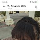���� ��������, ������� - ��������� 28 ������� 2024 � ������ ���� ����������