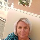���� �������, ����, 43 ���� - ��������� 25 ������ 2026 � ������ ���� ����������