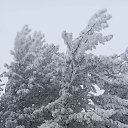  aehh,  -  12  2024    2024