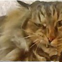 ���� ������, ������, 35 ��� - ��������� 3 ������ 2025 � ������ ���� ����������