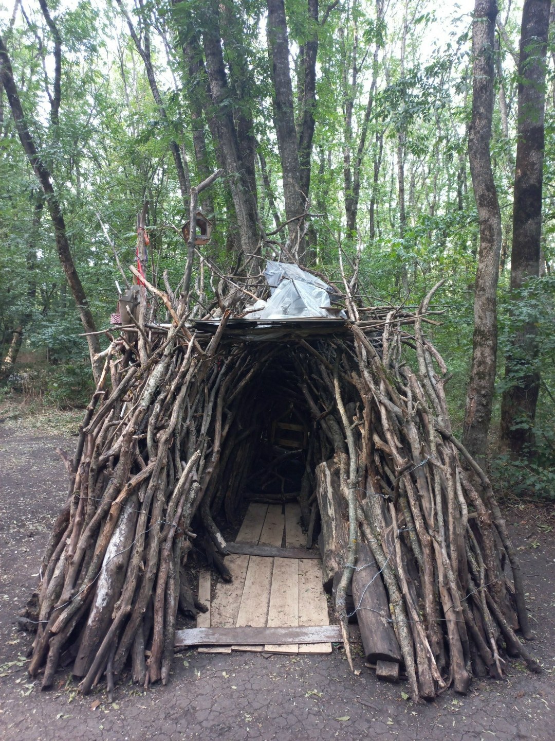 Доступное жильё в Мамаевском лесу. Сдается субсидированная ипотека на новостройки с очень низким ...