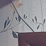 ���������, 46 ���, ������