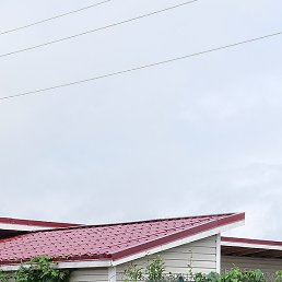 �������, �����-���������, 60 ���